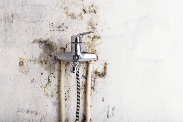 Siena College, NY Mold Removal Company