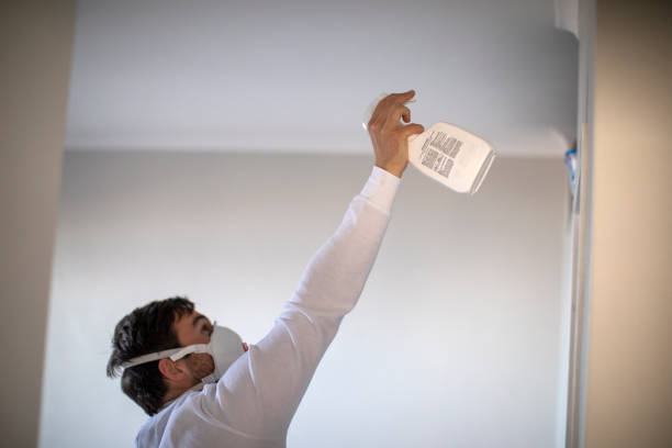 Best Crawl Space Mold Removal  in Siena College, NY