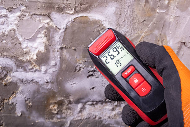 Best Black Mold Removal  in Siena College, NY